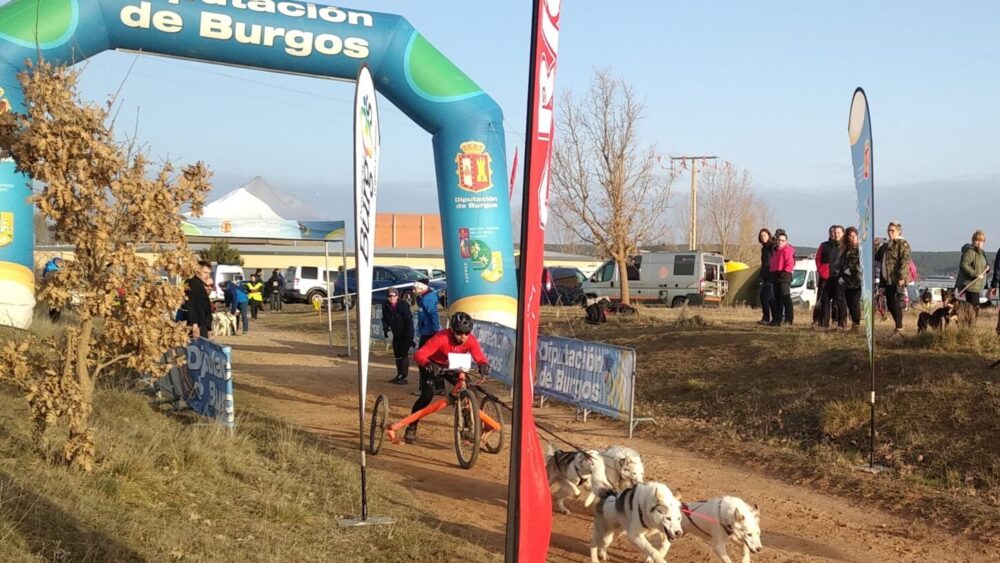 el-vi-mushing-de-salas-encumbra-a-tres-burgaleses-al-podio-de-la-copa-de-espana