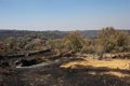 estabilizado-el-incendio-forestal-originado-en-fermoselle-(zamora)