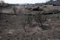 la-junta-suma-90-localidades-de-avila,-leon,-segovia-y-soria-al-listado-de-beneficiarios-de-ayudas-por-fuego