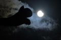 los-mejores-puntos-para-observar-el-eclipse-solar-total-del-proximo-12-de-agosto