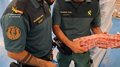 desarticulan-una-red-internacional-en-burgos-que-comercializaba-carne-de-ovino-no-apta-para-el-consumo