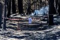 controlado-el-incendio-de-burgohondo-(avila)-que-baja-a-nivel-0