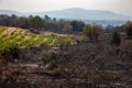 la-junta-denuncia-un-intento-de-fraude-para-recabar-informacion-de-ciudadanos-afectado-por-incendios-en-avila