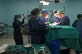 castilla-y-leon-alcanza-los-78-donantes-y-genera-249-organos-para-trasplantes-en-el-primer-semestre-de-2026