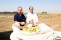 un-estudio-cifra-en-18-centimos-el-coste-de-produccion-del-kilo-de-patata-de-regadio-en-cyl