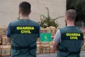 castilla-y-leon-registra-13.774-denuncias-por-drogas-en-2025-y-mantiene-estable-la-cifra-de-detenidos