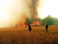 los-incendios-en-cyl-provocan-perdidas-de-3,1-millones-de-euros-entre-2017-y-2025