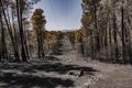 la-junta-cifra-provisionalmente-en-37.800-hectareas-la-superficie-afectada-por-el-fuego-de-burgohondo-(avila)