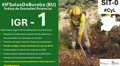 el-incendio-de-salas-de-bureba-(burgos)-pierde-intensidad-y-permite-el-ataque-directo-de-medios-desplegados
