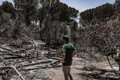 la-junta-pide-al-miteco-que-“concrete”-su-apoyo-a-la-restauracion-tras-el-incendio-de-burgohondo-(avila)