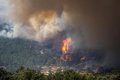 la-cht-iniciara-esta-semana-los-trabajos-de-restauracion-hidrologico-forestal-en-piedralaves-y-el-tiemblo