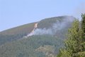 industria-convoca-ayudas-de-hasta-100.000-euros-a-empresas-con-trabajadores-en-erte-por-los-incendios
