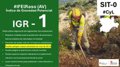 declaran-nivel-1-en-el-raso-(avila)-donde-peligran-masas-arboladas-de-mas-de-30-hectareas