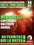 pacma-convertira-medinaceli-(soria)-en-el-“nuevo-tordesillas”-para-erradicar-tambien-el-toro-jubilo