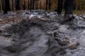 greenpeace-exige-que-la-proteccion-del-agua-“sea-una-prioridad”-en-la-gestion-despues-de-los-incendios